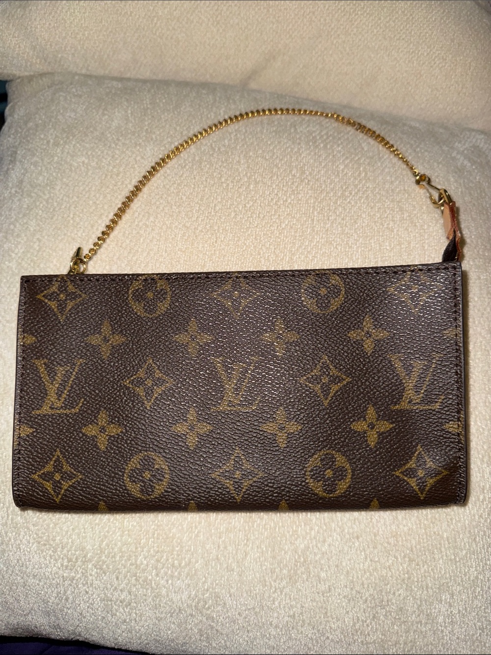 Louis Vuitton Pouch